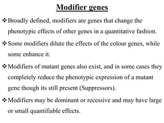 Genetics_SBB_1204_Part_I_Mendelism_and_Post-Mendelism.pptx