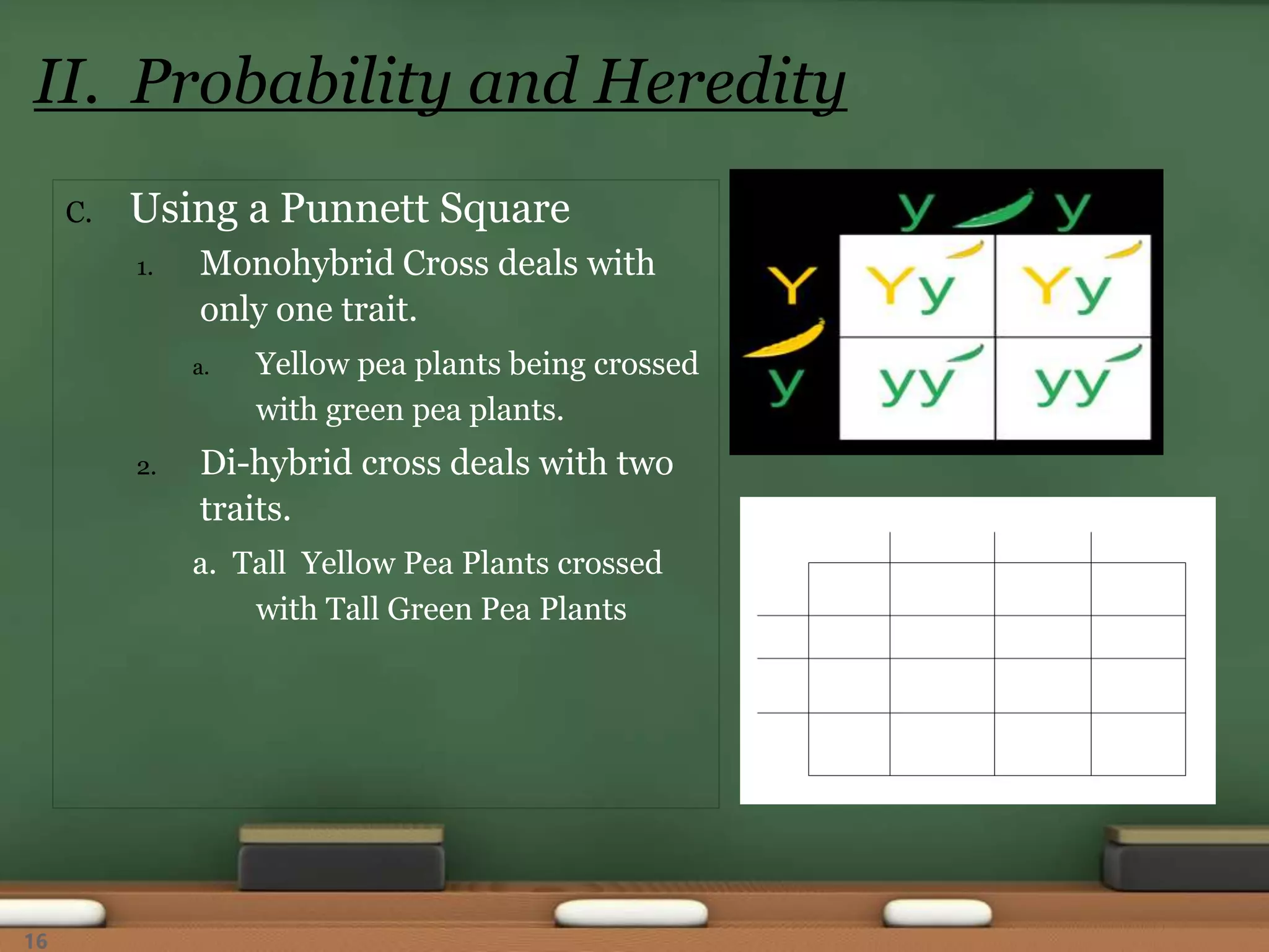 C. Using a Punnett Square
1. Monohybrid Cross deals with
only one trait.
a. Yellow pea plants being crossed
with green pea plants.
2. Di-hybrid cross deals with two
traits.
a. Tall Yellow Pea Plants crossed
with Tall Green Pea Plants
II. Probability and Heredity
16
 