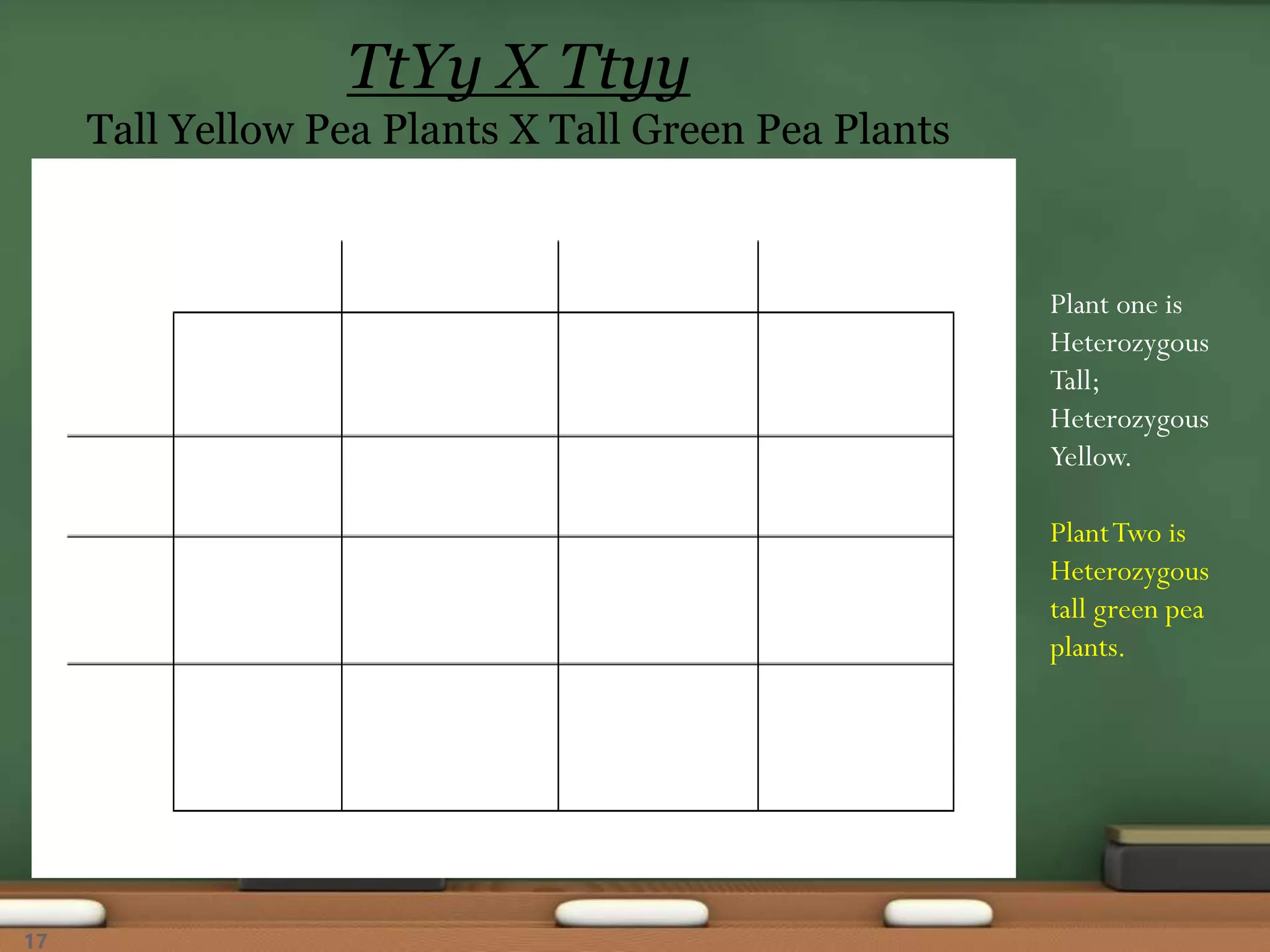 TtYy X Ttyy
Tall Yellow Pea Plants X Tall Green Pea Plants
Plant one is
Heterozygous
Tall;
Heterozygous
Yellow.
PlantTwo is
Heterozygous
tall green pea
plants.
17
 