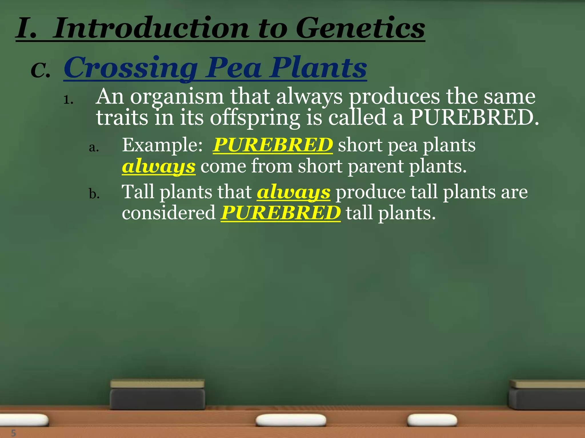 C. Crossing Pea Plants
1. An organism that always produces the same
traits in its offspring is called a PUREBRED.
a. Example: PUREBRED short pea plants
always come from short parent plants.
b. Tall plants that always produce tall plants are
considered PUREBRED tall plants.
I. Introduction to Genetics
5
 