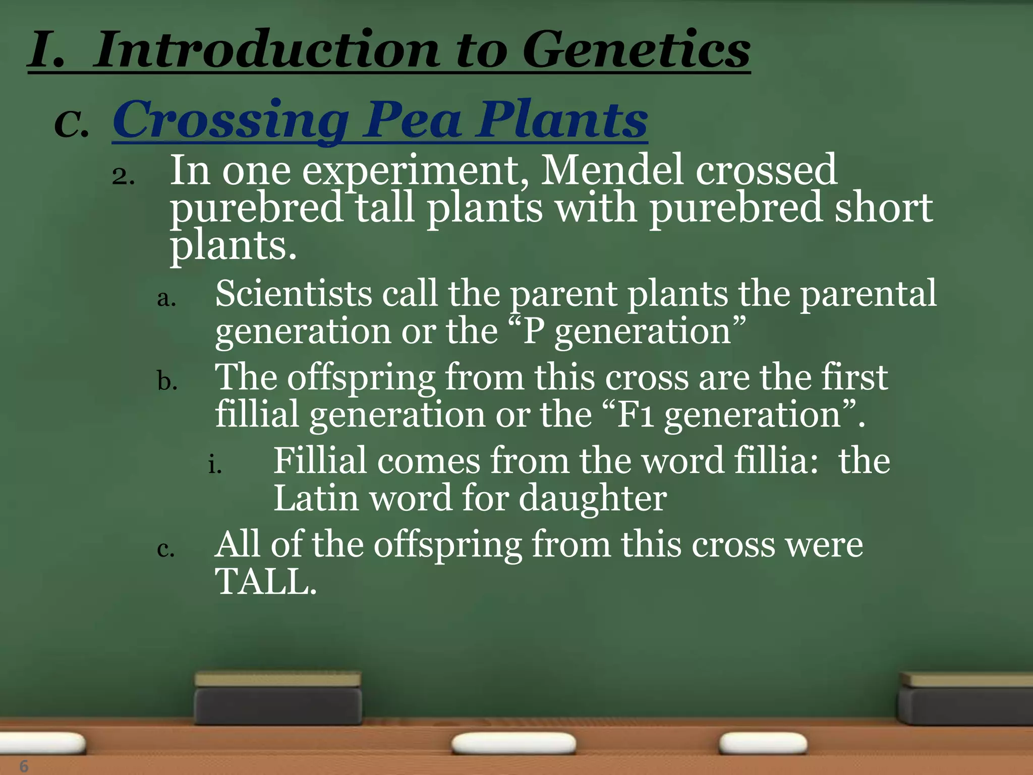 C. Crossing Pea Plants
2. In one experiment, Mendel crossed
purebred tall plants with purebred short
plants.
a. Scientists call the parent plants the parental
generation or the “P generation”
b. The offspring from this cross are the first
fillial generation or the “F1 generation”.
i. Fillial comes from the word fillia: the
Latin word for daughter
c. All of the offspring from this cross were
TALL.
I. Introduction to Genetics
6
 