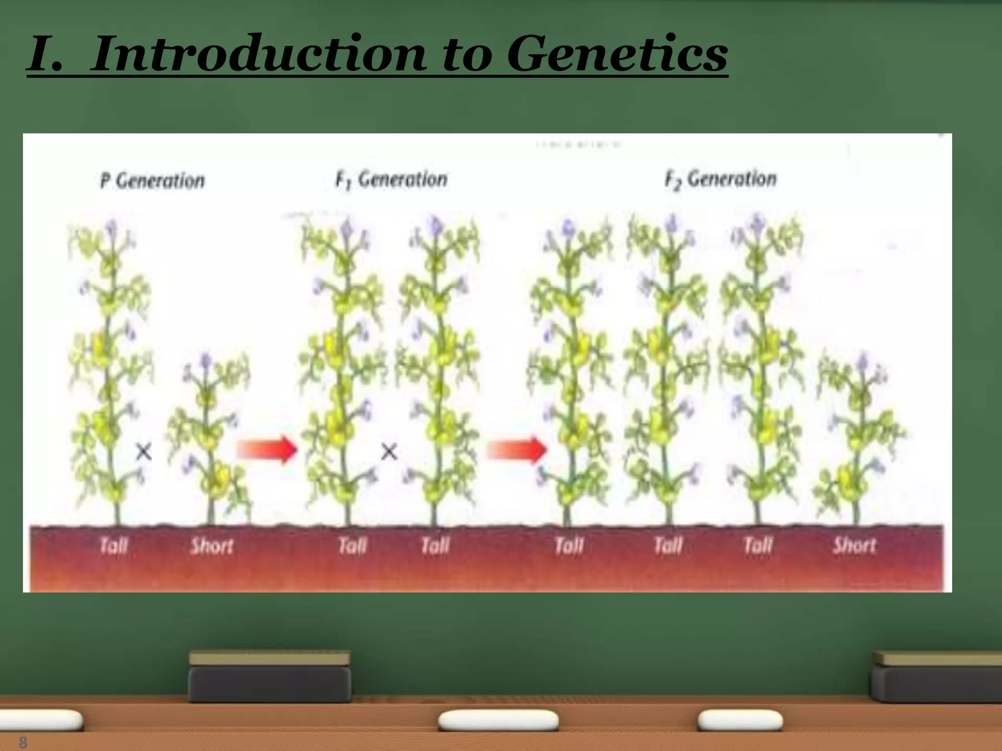 I. Introduction to Genetics
8
 