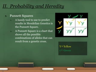 B. Punnett Squares
1. A handy tool to use to predict
results in Mendelian Genetics is
the Punnett Square.
2. A Punnett Square is a chart that
shows all the possible
combinations of alleles that can
result from a genetic cross.
II. Probability and Heredity
Y=Yellow
y= Green
14
 