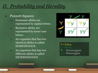 B. Punnett Squares
3. Dominant alleles are
represented by capital letters.
4. Recessive alleles are
represented by lower case
letters.
5. An organism that has two
identical alleles is called
HOMOZYGOUS.
6. An organism that has two
different alleles is called
HETEROZYGOUS.
II. Probability and Heredity
Y=Yellow
y= Green
Yy= Heterozygous
yy= Homozygous
15
 