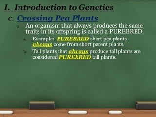 C. Crossing Pea Plants
1. An organism that always produces the same
traits in its offspring is called a PUREBRED.
a. Example: PUREBRED short pea plants
always come from short parent plants.
b. Tall plants that always produce tall plants are
considered PUREBRED tall plants.
I. Introduction to Genetics
5
 