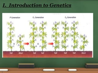 I. Introduction to Genetics
8
 