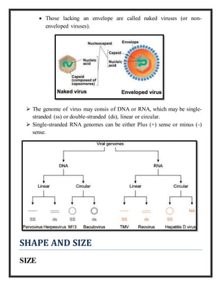 Viruses and their genetic system | DOCX