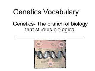 Genetics Vocabulary Genetics- The branch of biology that studies biological _______________________. 