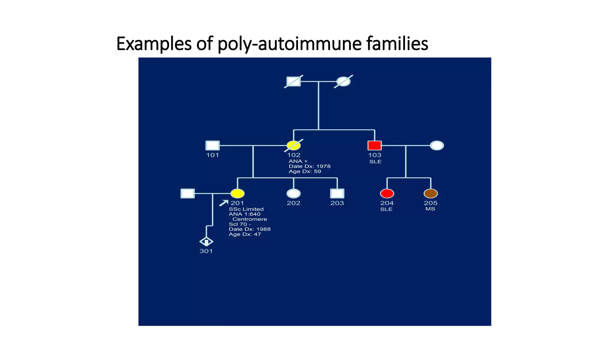 Examples of poly-autoimmune families
204
101 102 103
205201 202 203
301
2
ANA +
Date Dx: 1978
Age Dx: 59
SSc Limited
ANA 1:640
Centromere
Scl 70 -
Date Dx: 1988
Age Dx: 47
SLE
SLE MS
 