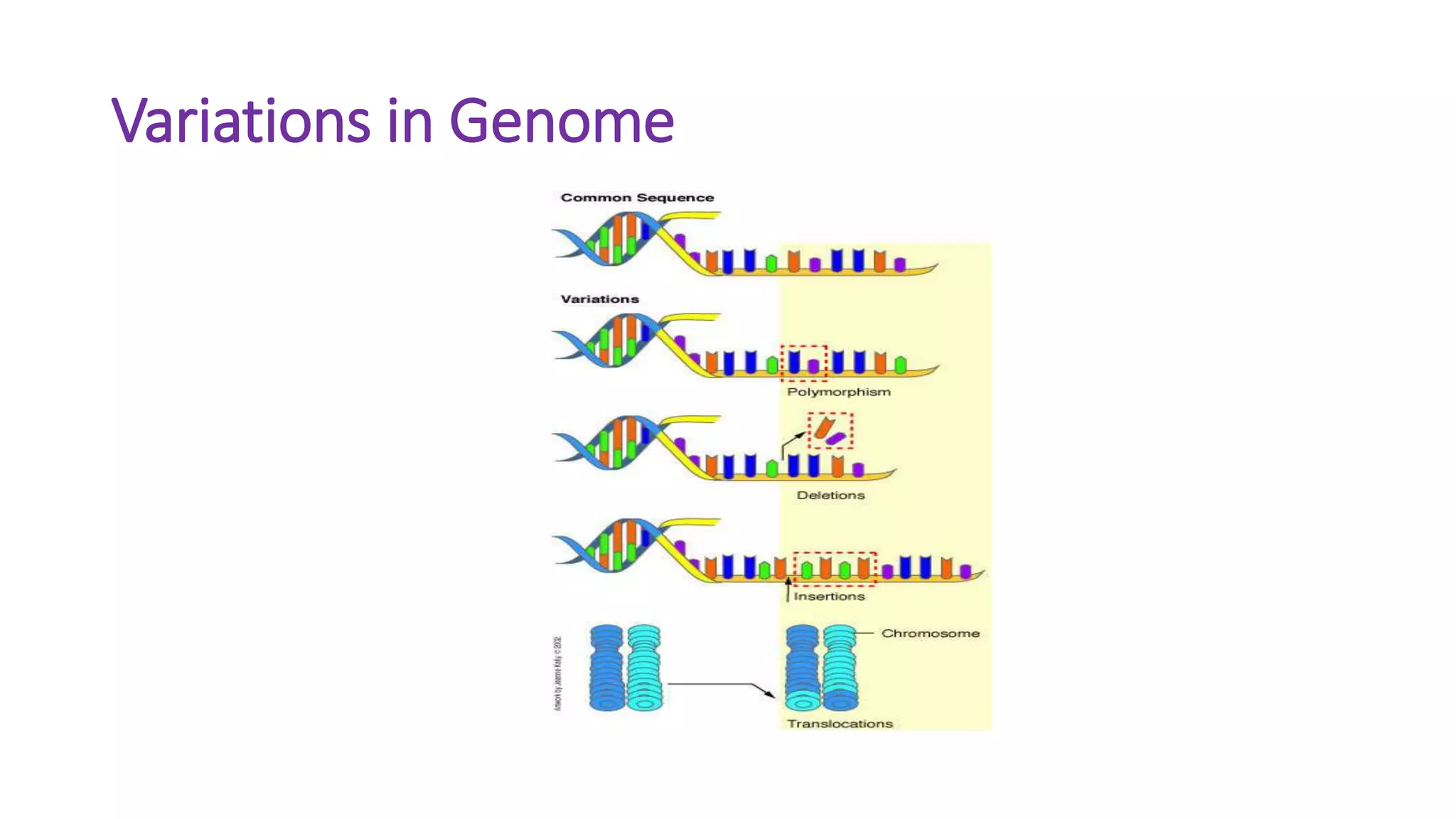 Variations in Genome
 