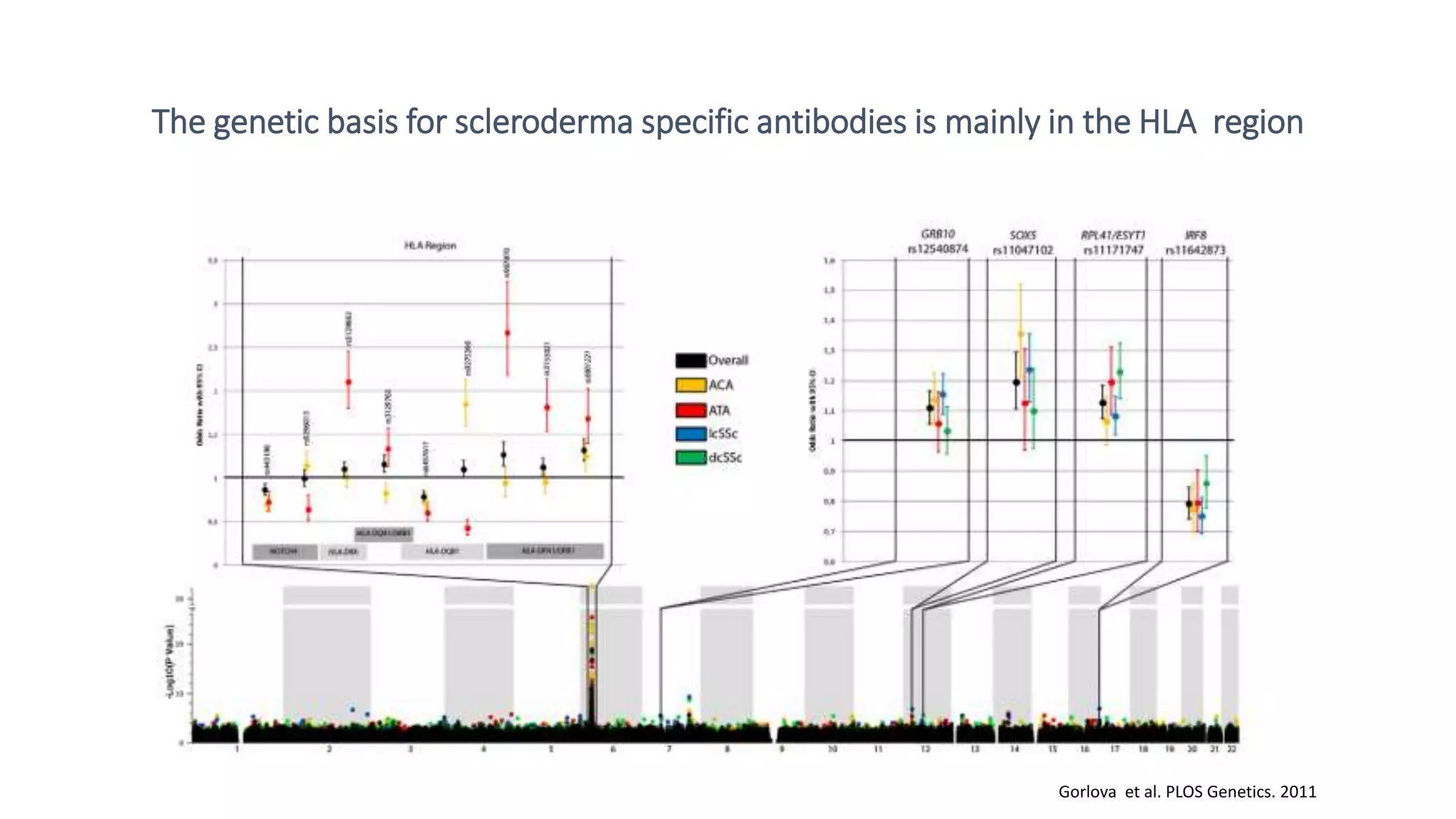 The genetic basis for scleroderma specific antibodies is mainly in the HLA region
Gorlova et al. PLOS Genetics. 2011
 