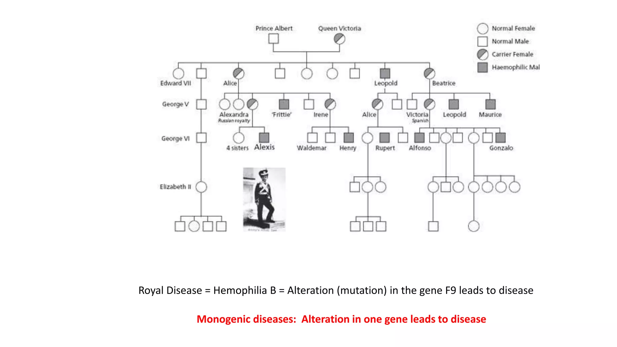 Royal Disease = Hemophilia B = Alteration (mutation) in the gene F9 leads to disease
Monogenic diseases: Alteration in one gene leads to disease
 