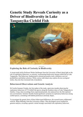 Genetic Study Reveals Curiosity as a
Driver of Biodiversity in Lake
Tanganyika Cichlid Fish
Source- Phys.org
Exploring the Role of Curiosity in Biodiversity
A recent study led by Professor Walter Salzburger from the University of Basel sheds light on the
role of exploratory behaviour, or curiosity, in promoting biodiversity among cichlid fish in Lake
Tanganyika. This behaviour, fundamental to animal personality traits, influences survival
probabilities and habitat selection. While curious individuals may explore diverse ecological
niches, they also face increased risks of predation.
Behavioural Observations and Genetic Analysis
Dr Carolin Sommer-Trembo, the first author of the study, spent nine months observing the
exploratory behaviour of 57 Cichlid Fish species along the Southern shore of Lake Tanganyika in
Zambia. Using video recordings from experimental ponds, she analysed how the fish explored
new environments. Sommer-Trembo found significant variations in exploratory behaviour among
cichlid species, correlating with habitat preferences and body shapes.
To investigate the genetic basis of these behavioural differences, the research team collaborated
with Dr. Milan Malinsky from the University of Bern. They developed a novel method for
genome analysis, revealing a genetic variant strongly associated with exploratory behaviour.
 