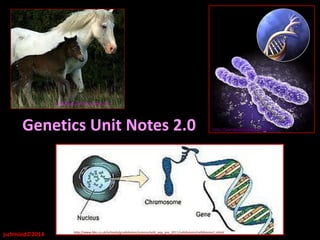 Genetics Unit Notes 2.2 http://jeanapettus.webs.com/
http://www.bbc.co.uk/schools/gcsebitesize/science/add_aqa_pre_2011/celldivision/celldivision1.shtml
jschmied©2016
 