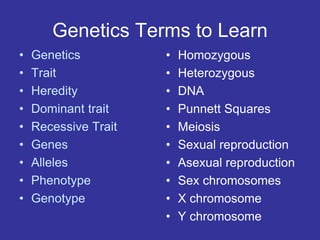 Genetics Terms to Learn
• Genetics
• Trait
• Heredity
• Dominant trait
• Recessive Trait
• Genes
• Alleles
• Phenotype
• Genotype
• Homozygous
• Heterozygous
• DNA
• Punnett Squares
• Meiosis
• Sexual reproduction
• Asexual reproduction
• Sex chromosomes
• X chromosome
• Y chromosome
 