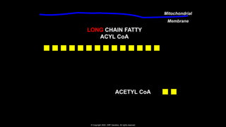 Mitochondrial
Membrane
LONG CHAIN FATTY
ACYL CoA
ACETYL CoA
© Copyright 2022 VMP Genetics. All rights reserved
 