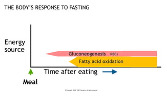 Energy
source
Time after eating
Meal
THE BODY’S RESPONSE TO FASTING
RBCs
Gluconeogenesis
Fatty acid oxidation
© Copyright ...