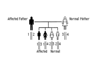 Genetics wiki pic 2