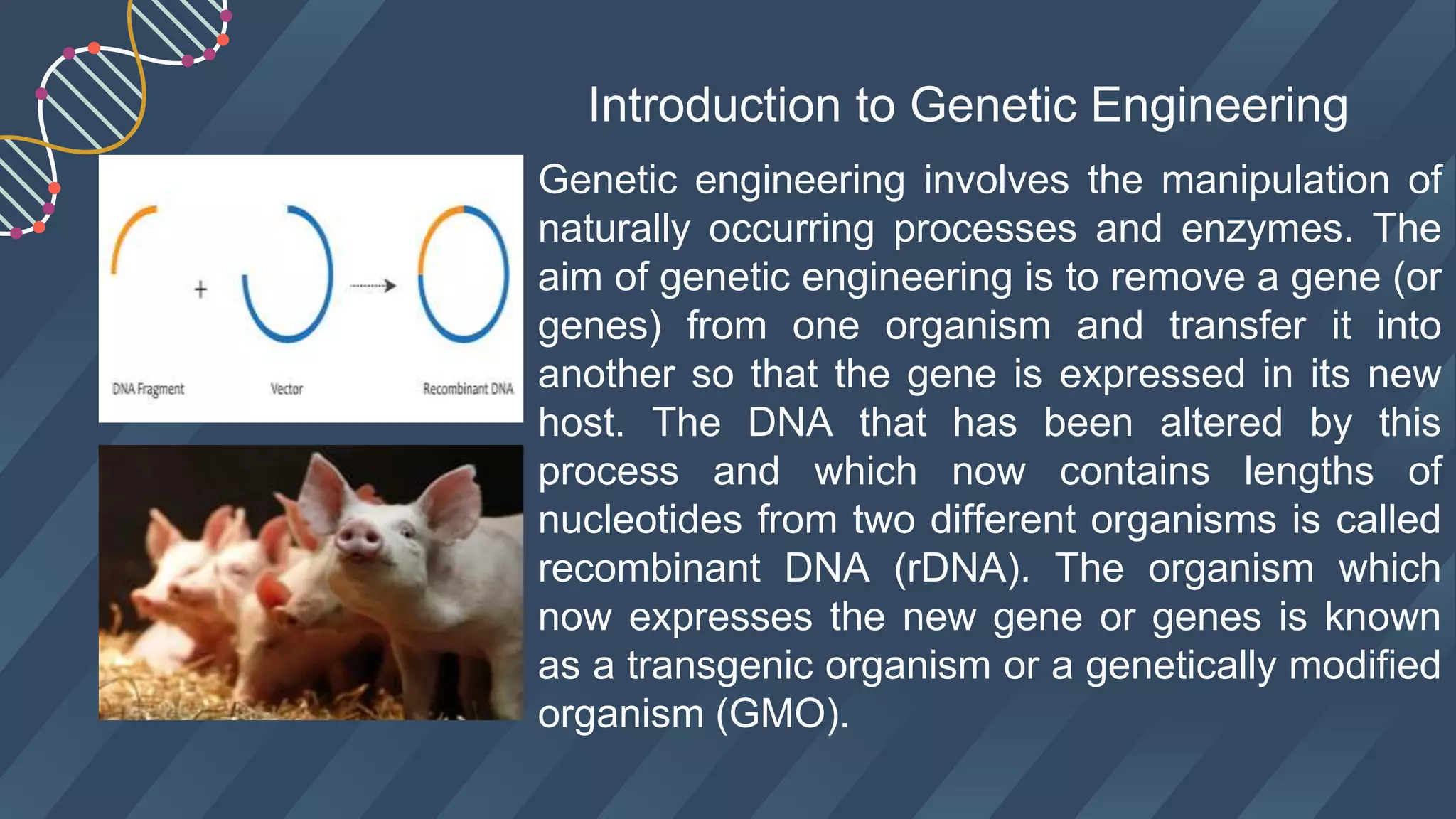 Genetic engineering involves the manipulation of
naturally occurring processes and enzymes. The
aim of genetic engineering is to remove a gene (or
genes) from one organism and transfer it into
another so that the gene is expressed in its new
host. The DNA that has been altered by this
process and which now contains lengths of
nucleotides from two different organisms is called
recombinant DNA (rDNA). The organism which
now expresses the new gene or genes is known
as a transgenic organism or a genetically modified
organism (GMO).
Introduction to Genetic Engineering
 