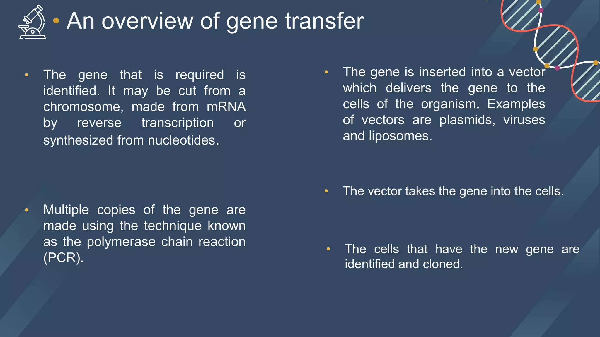 • The cells that have the new gene are
identified and cloned.
• The vector takes the gene into the cells.
• The gene that is required is
identified. It may be cut from a
chromosome, made from mRNA
by reverse transcription or
synthesized from nucleotides.
• Multiple copies of the gene are
made using the technique known
as the polymerase chain reaction
(PCR).
• The gene is inserted into a vector
which delivers the gene to the
cells of the organism. Examples
of vectors are plasmids, viruses
and liposomes.
• An overview of gene transfer
 