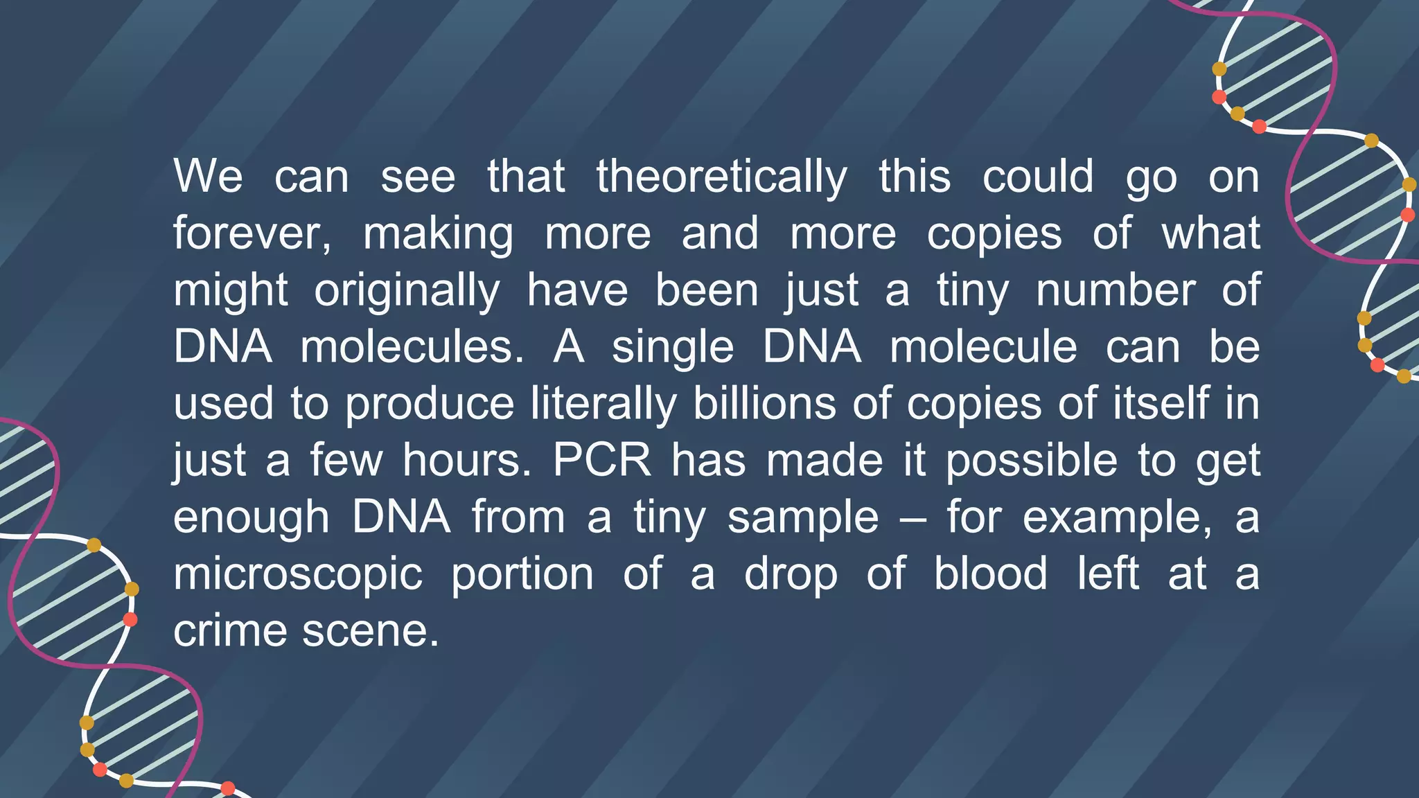 We can see that theoretically this could go on
forever, making more and more copies of what
might originally have been just a tiny number of
DNA molecules. A single DNA molecule can be
used to produce literally billions of copies of itself in
just a few hours. PCR has made it possible to get
enough DNA from a tiny sample – for example, a
microscopic portion of a drop of blood left at a
crime scene.
 