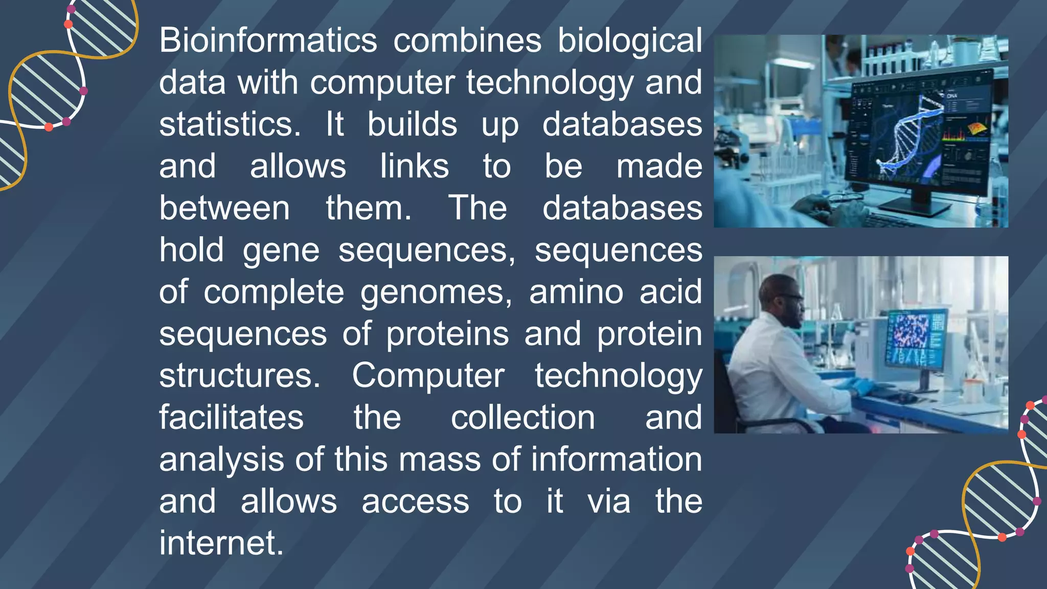 Bioinformatics combines biological
data with computer technology and
statistics. It builds up databases
and allows links to be made
between them. The databases
hold gene sequences, sequences
of complete genomes, amino acid
sequences of proteins and protein
structures. Computer technology
facilitates the collection and
analysis of this mass of information
and allows access to it via the
internet.
 