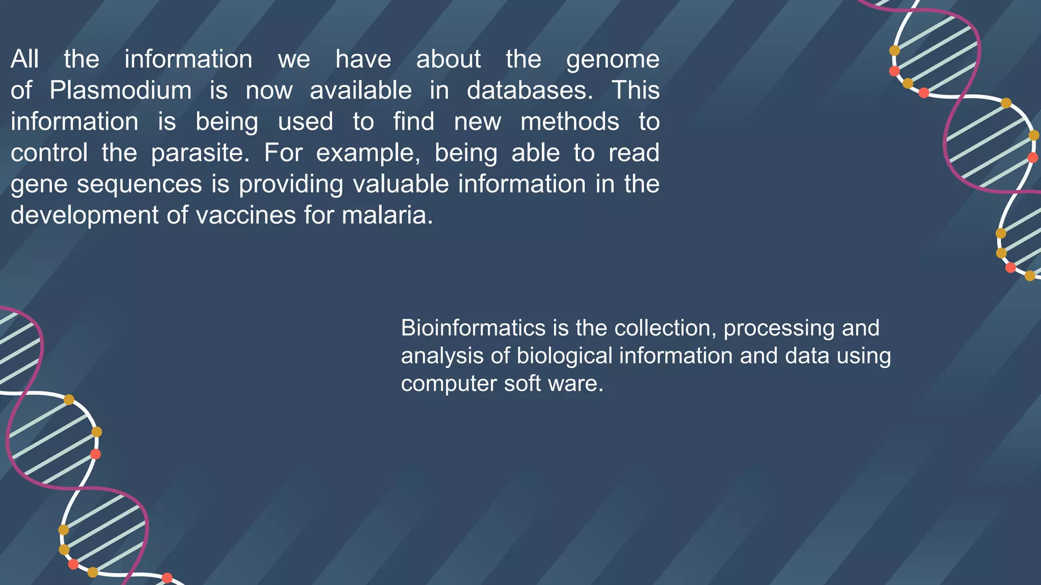 All the information we have about the genome
of Plasmodium is now available in databases. This
information is being used to find new methods to
control the parasite. For example, being able to read
gene sequences is providing valuable information in the
development of vaccines for malaria.
Bioinformatics is the collection, processing and
analysis of biological information and data using
computer soft ware.
 