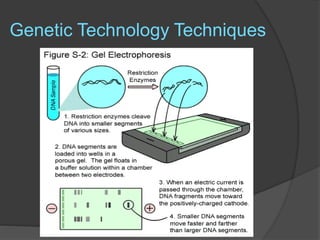 Genetic Technology Techniques
 