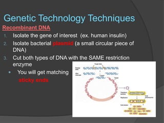 Genetic Technology Techniques
Recombinant DNA
1. Isolate the gene of interest (ex. human insulin)
2. Isolate bacterial plasmid (a small circular piece of
DNA)
3. Cut both types of DNA with the SAME restriction
enzyme
 You will get matching
sticky ends
 