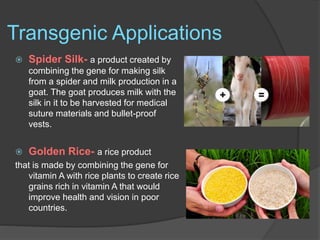 Transgenic Applications
 Spider Silk- a product created by
combining the gene for making silk
from a spider and milk production in a
goat. The goat produces milk with the
silk in it to be harvested for medical
suture materials and bullet-proof
vests.
 Golden Rice- a rice product
that is made by combining the gene for
vitamin A with rice plants to create rice
grains rich in vitamin A that would
improve health and vision in poor
countries.
 