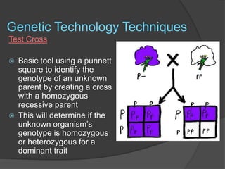 Genetic Technology Techniques
Test Cross
 Basic tool using a punnett
square to identify the
genotype of an unknown
parent by creating a cross
with a homozygous
recessive parent
 This will determine if the
unknown organism’s
genotype is homozygous
or heterozygous for a
dominant trait
 
