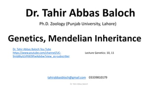 Dr. Tahir Abbas Baloch
Ph.D. Zoology (Punjab University, Lahore)
tahirabbasbloch@gmail.com 03339810179
Dr. Tahir Abbas Baloch You Tube
https://www.youtube.com/channel/UC-
9mb8kyILhPKKl9PwAdvbw?view_as=subscriber
Lecture Genetics: 10, 11
Genetics, Mendelian Inheritance
Dr. Tahir Abbas Baloch
 