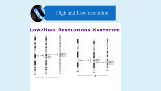 High and Low resolution
 