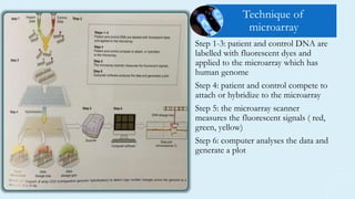 Step 1-3: patient and control DNA are
labelled with fluorescent dyes and
applied to the microarray which has
human genome
Step 4: patient and control compete to
attach or hybridize to the microarray
Step 5: the microarray scanner
measures the fluorescent signals ( red,
green, yellow)
Step 6: computer analyses the data and
generate a plot
Technique of
microarray
 