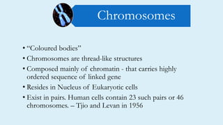 • “Coloured bodies”
• Chromosomes are thread-like structures
• Composed mainly of chromatin - that carries highly
ordered sequence of linked gene
• Resides in Nucleus of Eukaryotic cells
• Exist in pairs. Human cells contain 23 such pairs or 46
chromosomes. – Tjio and Levan in 1956
Chromosomes
 