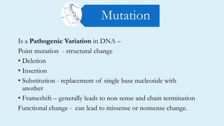 Is a Pathogenic Variation in DNA –
Point mutation - structural change
• Deletion
• Insertion
• Substitution - replacement of single base nucleotide with
another
• Frameshift – generally leads to non sense and chain termination
Functional change - can lead to missense or nonsense change.
Mutation
 