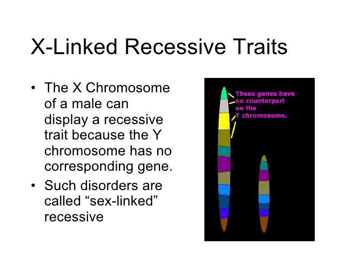 Genetic Traits And Sex In Humans
