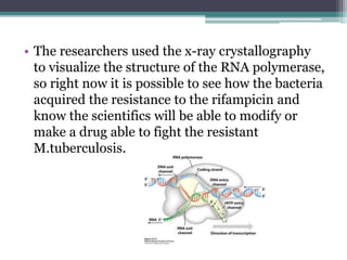 • The researchers used the x-ray crystallography
to visualize the structure of the RNA polymerase,
so right now it is possible to see how the bacteria
acquired the resistance to the rifampicin and
know the scientifics will be able to modify or
make a drug able to fight the resistant
M.tuberculosis.
 