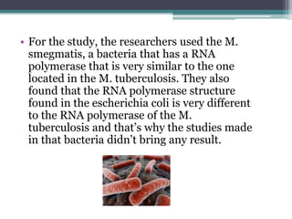 • For the study, the researchers used the M.
smegmatis, a bacteria that has a RNA
polymerase that is very similar to the one
located in the M. tuberculosis. They also
found that the RNA polymerase structure
found in the escherichia coli is very different
to the RNA polymerase of the M.
tuberculosis and that’s why the studies made
in that bacteria didn’t bring any result.
 