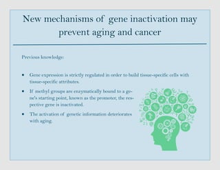New mechanisms of gene inactivation may
prevent aging and cancer
Previous knowledge:
 Gene expression is strictly regulated in order to build tissue-specific cells with
tissue-specific attributes.
 If methyl groups are enzymatically bound to a ge-
ne's starting point, known as the promoter, the res-
pective gene is inactivated.
 The activation of genetic information deteriorates
with aging.
 