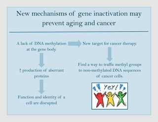 A lack of DNA methylation
at the gene body.
↑ production of aberrant
proteins
Function and identity of a
cell are disrupted
New mechanisms of gene inactivation may
prevent aging and cancer
New target for cancer therapy.
Find a way to traffic methyl groups
to non-methylated DNA sequences
of cancer cells.
 