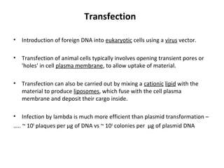 Genetic transformation & success of DNA ligation