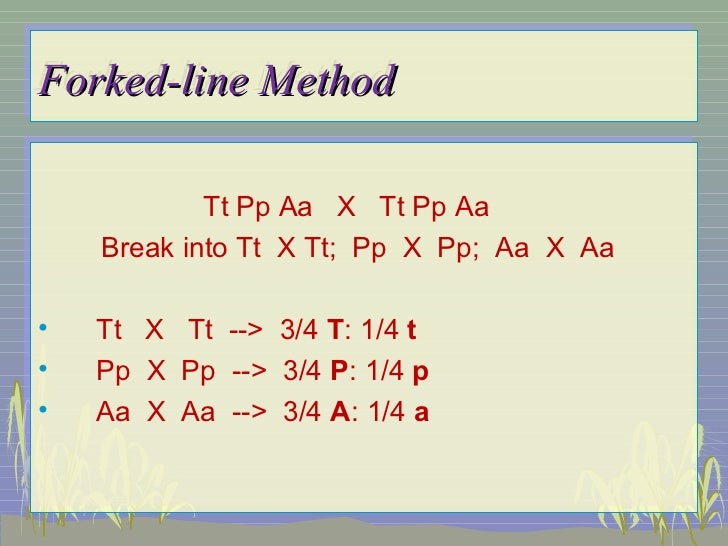 trihybrid cross