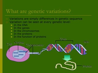 Genetic variation | PDF