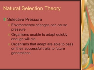 Natural Selection Theory
Selective Pressure
Environmental changes can cause
pressure
Organisms unable to adapt quickly
enough will die
Organisms that adapt are able to pass
on their successful traits to future
generations
 
