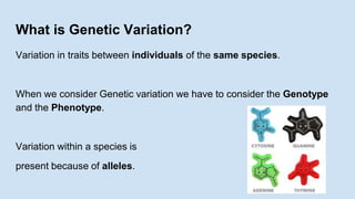 Variante Genetic Variation and Change.pptx