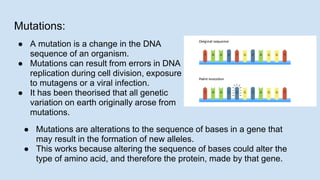 Genetic Variation and Change.pptx