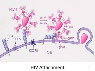 HIV Attachment 19
 