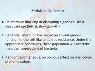 Genetic variation(evolution) | PPTX