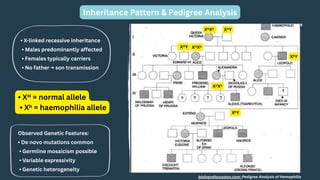 Expressivity Genetics Examples Comprehensive Insights into Haemophilia: Genetics, Mutations, and ...